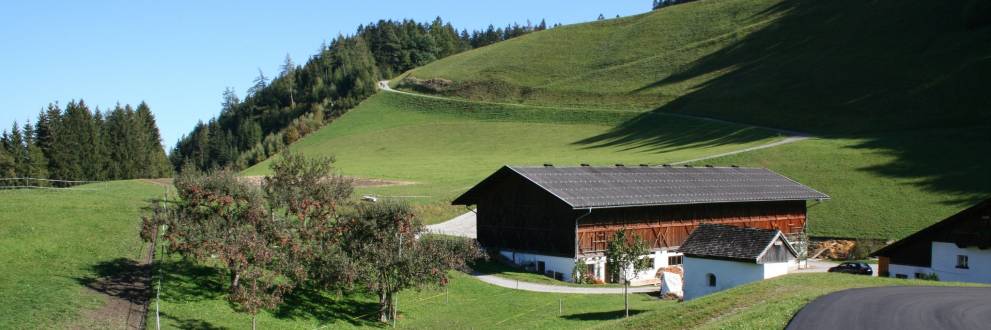 Bramberg am wildkogel kostenlose partnervermittlung 